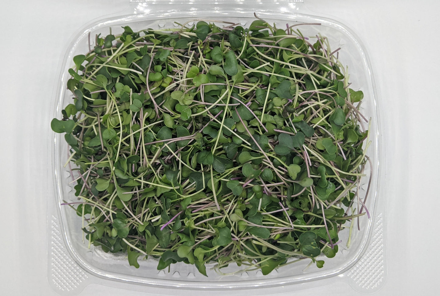 Brassica Blend - 4 oz