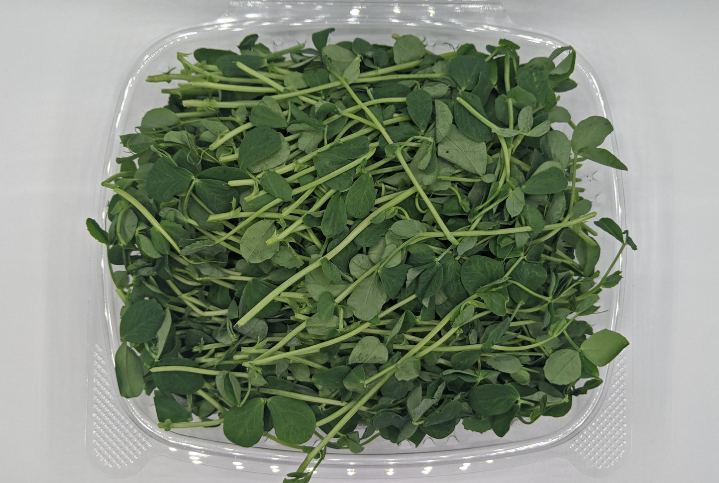 Pea Shoots - 5 oz