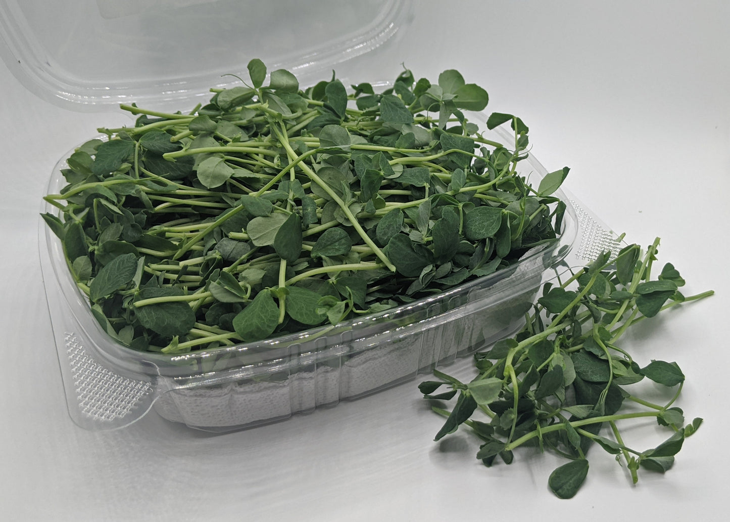 Pea Shoots - 5 oz